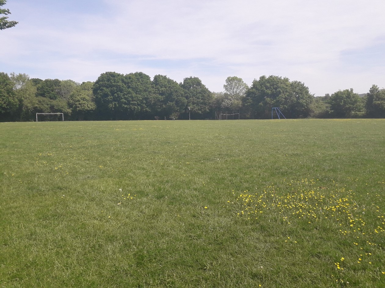 Recreation Ground Grass/Pitch View 2