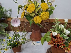 Bucklebury and Marlston Horticultural Society Summer Show 2026