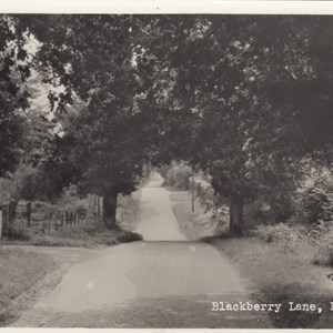 Blackberry Lane - Postmarked 14.7.1963