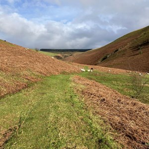 Hereford Mountain Club Our Recent Activities