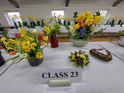 Bucklebury and Marlston Horticultural Society Spring Show Report 2026