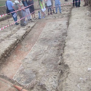 The Mosaic revealed
