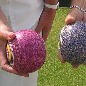 Coloured  Bowls