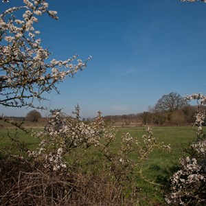 About Us, Crookham Village Neighbourhood Plan