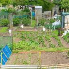 Laceby Parish Council Allotments
