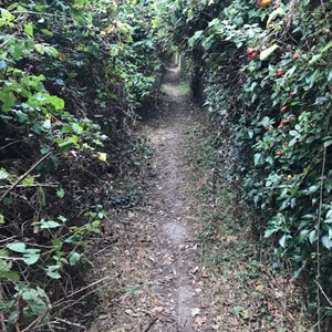 Cliffsend Parish Council Path TE37 - Cliffsend to Minster