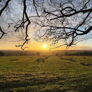 Newton on the Moor & Swarland Parish Council GALLERY