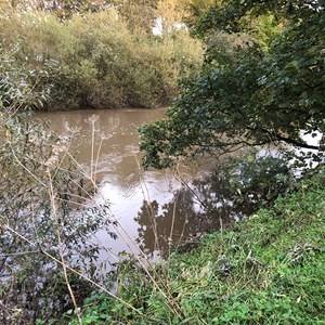 Asenby Parish Council Riverside Walk