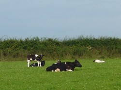 Photo by Phil Rowland