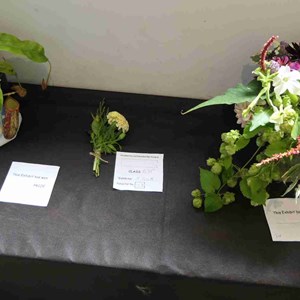 Goodworth Clatford Parish Council  Fete 2026 photos