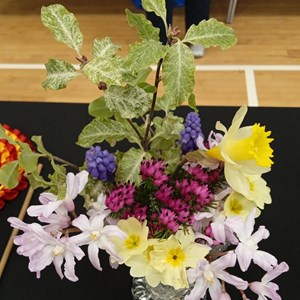 Mannings Heath & District Horticultural Society Photo Gallery