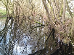 Evidence of the old Carlisle canal