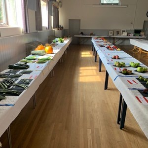 Fruit and Vegetables