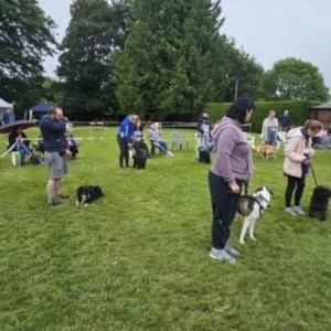 Whixall Social Centre Whixall Companion Dog Show 2024