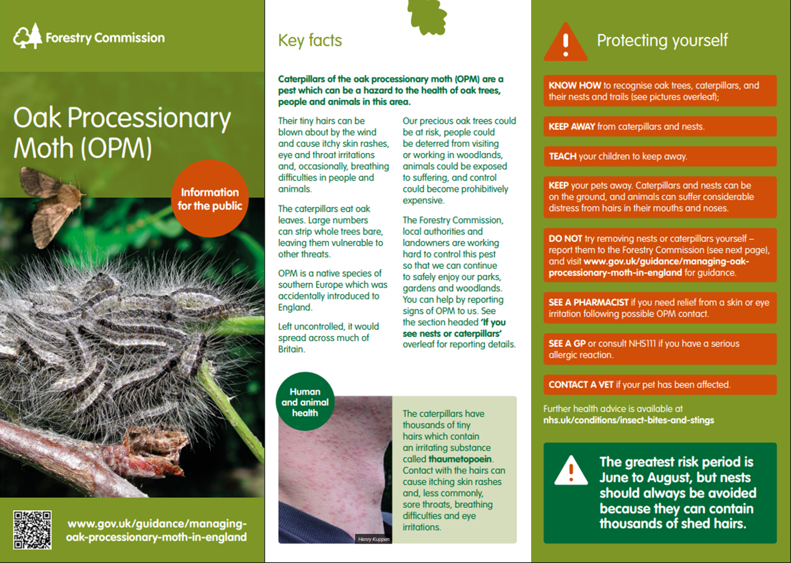 Hedgerley Parish Council Oak Processionary Moth