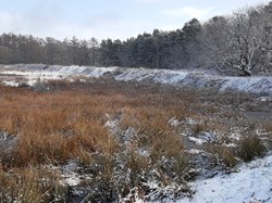 Cannock Wood Parish Council Castle Ring