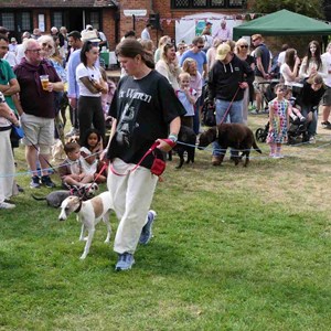 Goodworth Clatford Parish Council  Fete 2026 photos