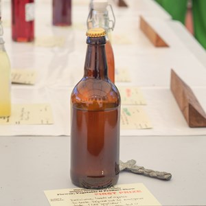 HBT Horticultural Society Photographs 2025