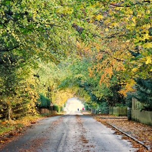 Newton on the Moor & Swarland Parish Council GALLERY