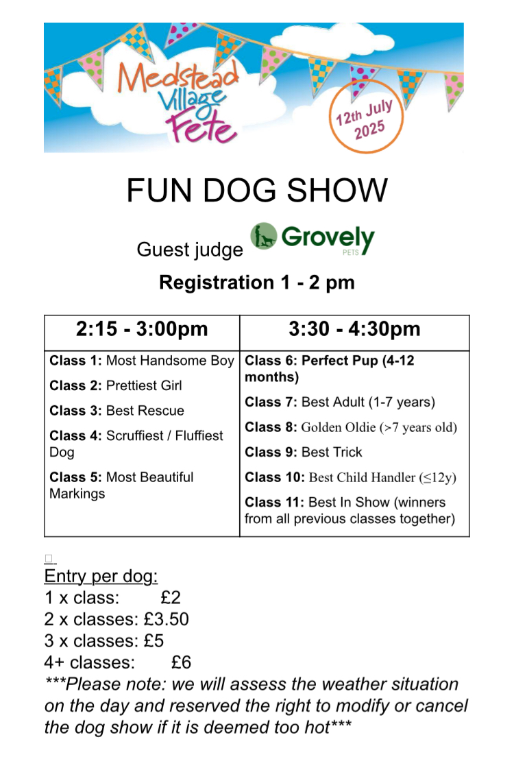 Medstead Fete 2025 Fete