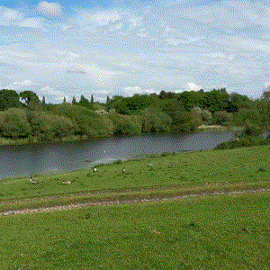 Moston Parish Council Parish Pics