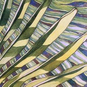 'Palm Calm' Watercolour by Olga Vikhireva