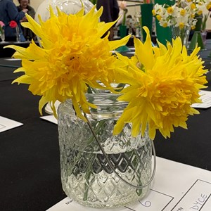 Mannings Heath & District Horticultural Society Photo Gallery