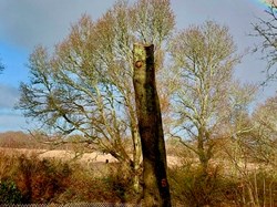 Julie's rainbow in Long Break