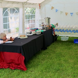 Berwick St James Parish Berwick Village Fayre - 8th June 2025