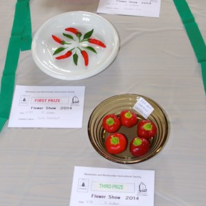 Mickleham and Westhumble Horticultural Society September 2014 show pictures