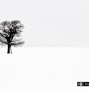 Gallery, Kingsclere Neighbourhood Plan