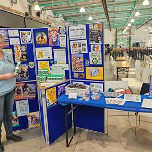 Awareness in the community