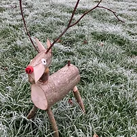 Reindeer £15