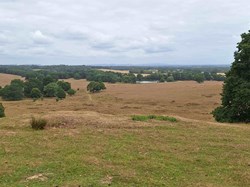 Probus Shelley Walks 2025