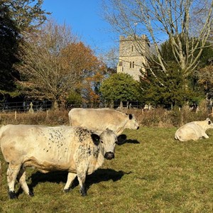 Hedgerley Parish Council Hedgerley Conservation