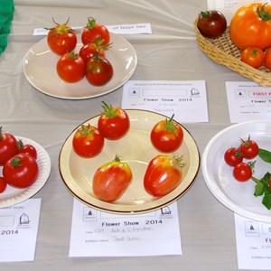 Mickleham and Westhumble Horticultural Society September 2014 show pictures