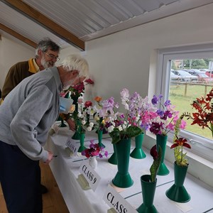 Bucklebury and Marlston Horticultural Society Summer Show Report 2024