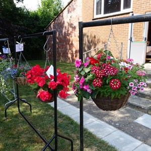 BETHERSDEN GARDENER'S SOCIETY Photo Gallery