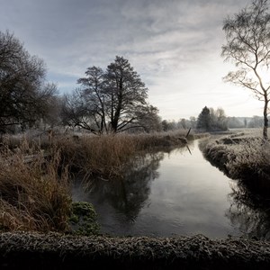 River Test near Pittleworth, by David Broome