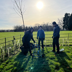 Meadow View Cemetery tree planted