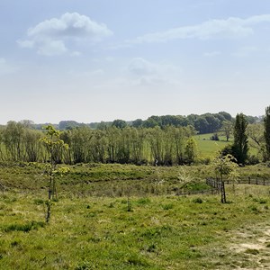 Langley Park country park
