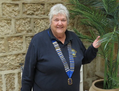 Ilminster and District Lions Club Home