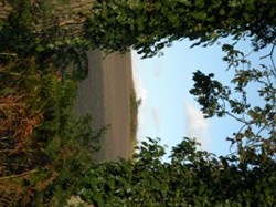 __________________________________________________ Hart Valley