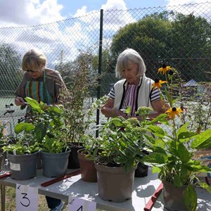 Goodworth Clatford Parish Council  Fete and Flower Show 2026 photos