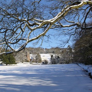 West Bagborough - Snow