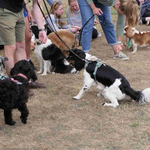 Goodworth Clatford Parish Council  Fete 2026 photos