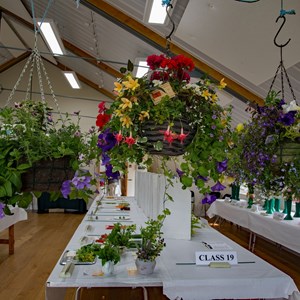 Bucklebury and Marlston Horticultural Society Summer Show Report 2024