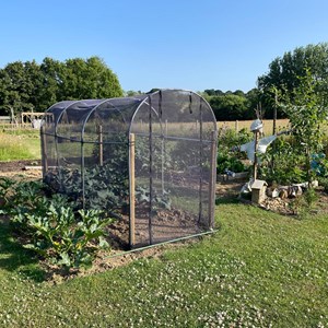 Benenden Parish Council Allotment Association