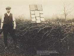 Henry Liley, farmer, pleshing competition c 1913