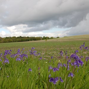 FACE-IT Image gallery